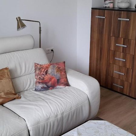 Ferienwohnung Christel Hirschhorn-Neckar Eksteriør billede