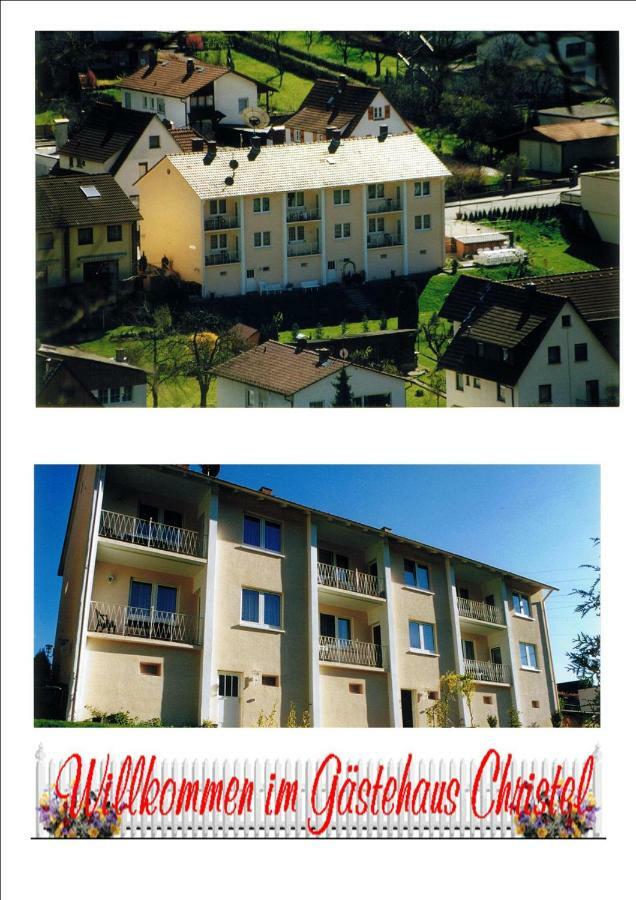 Ferienwohnung Christel Hirschhorn-Neckar Eksteriør billede